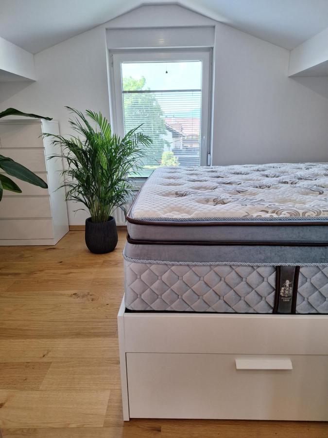Guesthouse Flower Lublana Zewnętrze zdjęcie