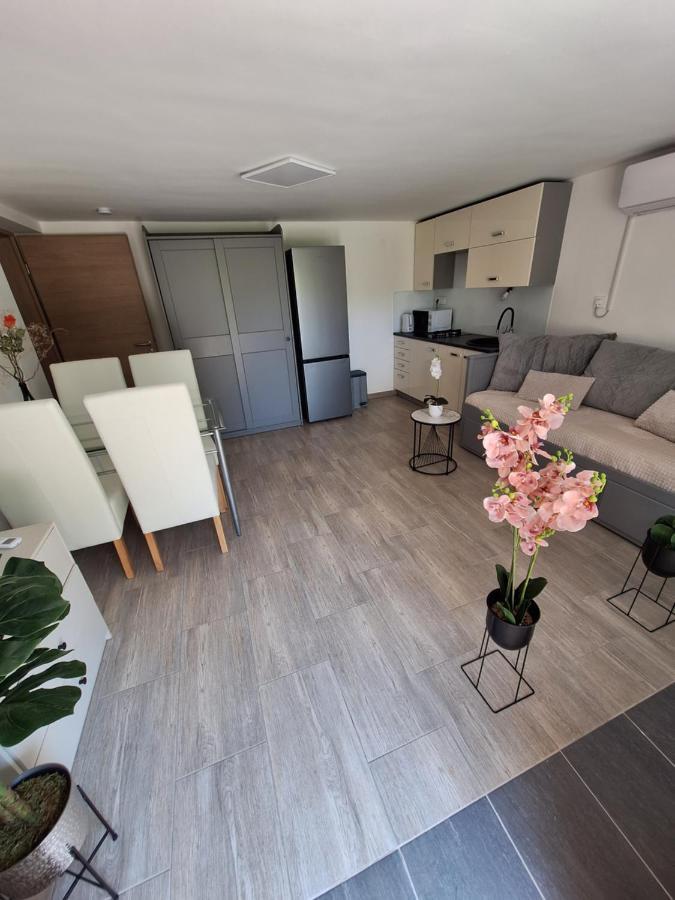 Guesthouse Flower Lublana Zewnętrze zdjęcie