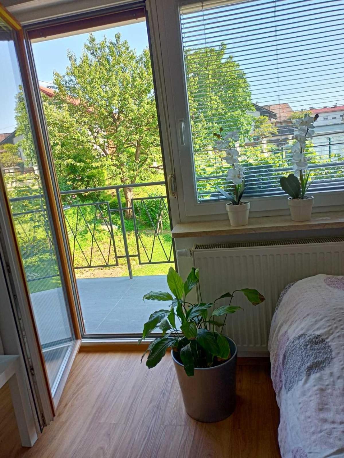 Guesthouse Flower Lublana Zewnętrze zdjęcie
